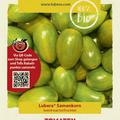 Tomaten 'Artisan Green Tiger'