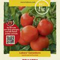 Tomaten 'Kremser Perle'