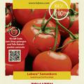 Tomaten 'Matina'