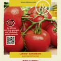 Tomaten 'Rondobella' Samen