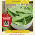 Zuckererbsen 'Weggiser'