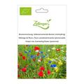Mischung von selbst auss�enden Blumen 'Die Ewigen'