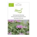 Wilde Bergamotte (Mehrj�hrig)