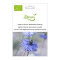 Jungfer im Gr�nen, Blaubl�hend (einj�hrig)