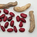 (Not) Just Peanuts� Justmore�