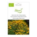 Kalifornischer Mohn, Orange (einj�hrig)