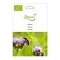Phacelia