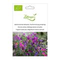 Wohlriechende Edelwicke, Prachtsmischung (einj�hrig)