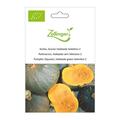 Hokkaidok�rbis, Gr�ner Hokkaido Selektion Z
