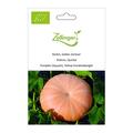 K�rbis, Gelber Zentner