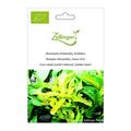 N�sslisalat (Feldsalat), Goldherz