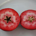 Rotfleischiger Apfel Redlove� Circe�