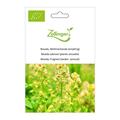 Reseda, Wohlriechende (einj�hrig)