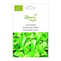 Rucola (einj�hrig)