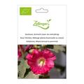 Stockrose, Gemischt (zwei- bis mehrj�hrig)