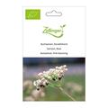 Buchweizen, Rosabl�hend