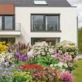 Staudenbeet Zeichnung 'Schnipp Schnapp' - In der dargestellten Zeichnung werden alle Pflanzen bl�hend gezeigt, was nat�rlich nicht realistisch ist. Tats�chlich ist die Pflanzenliste so gew�hlt, dass �ber einen langen Zeitraum immer etwas bl�ht.