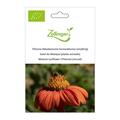 Tithonie (Mexikanische Sonnenblume) (einj�hrig)