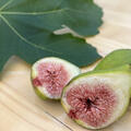 Feige, Ficus carica, Brogiotto Bianco