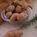 Kartoffel Revoluzzer� 'Bravera'�, Solanum tuberosum