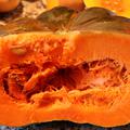 K�rbis, Muskatk�rbis 'Musque de Provence' Cucurbita moschata