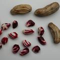 (Not) Just Peanuts� JustBehappy�
