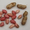 (Not) Just Peanuts� Justpink�