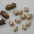 (Not) Just Peanuts� Justwhite�