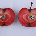 Rotfleischiger Apfel Redlove� Calypso�