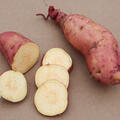 S�sskartoffeln, Sugaroot S�sskartoffel, Sugaroots Chestnut