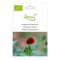 Spargelerbsen (Fl�gelerbsen), Lotus