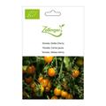 Tomate, Gelbe Cherry