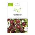 Tomate, Schwarze Cherry