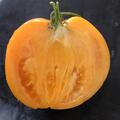 Tomate, Orange Ananas, Solanum lycopersicum