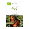 Tomate, Sibirische Fr�he