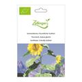 Sonnenblume, Freundlicher Gulliver