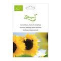 Sonnenblume, Gemischt (einj�hrig)
