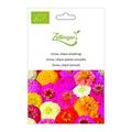 Zinnie, Liliput (einj�hrig)