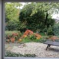 Der Wilde Wein f�rbt sich herbstlich.