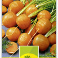 Karotte 'Pariser Markt' fr�h