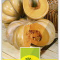K�rbis 'Musqu�e de Provence'