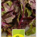Rote Bete Bl�tter / Randenbl�tter / Rote R�benbl�tter 'Bulls Blood'