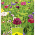 Blumenwiese 'Eden'