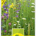 Wildblumen f�r Trockenwiese 4m2