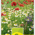 Blumen- und Kr�uterwiese
