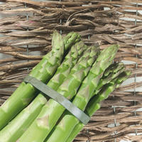 L�gumes racines et tubercules