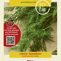 Graines d'herbes aromatiques