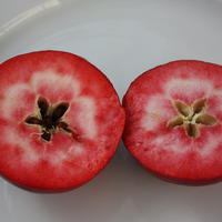 Pommes d'�t�
