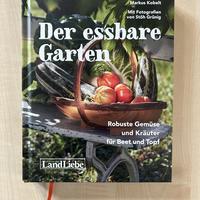 Graines de poireau