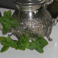 Vari�t�s de menthe